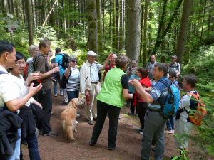 Genuss auf dem Wald Wasser Wiesenpfad in Calw