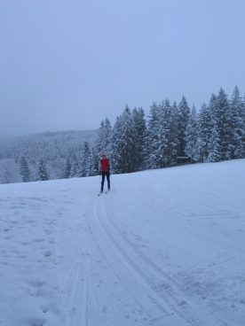 n_martinskapelle_2009_009