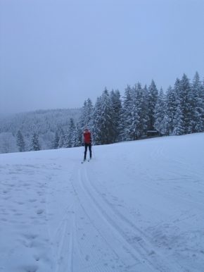 n_martinskapelle_2009_009