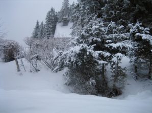 n_martinskapelle_2009_028