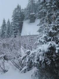 n_martinskapelle_2009_029