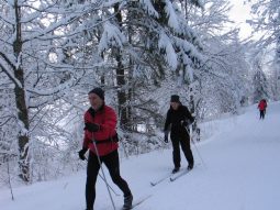 n_tannheimertal_2010_006
