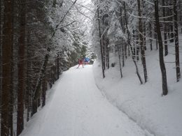 n_tannheimertal_2010_019