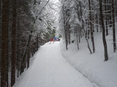 n_tannheimertal_2010_019