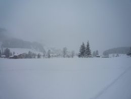 n_tannheimertal_2010_024